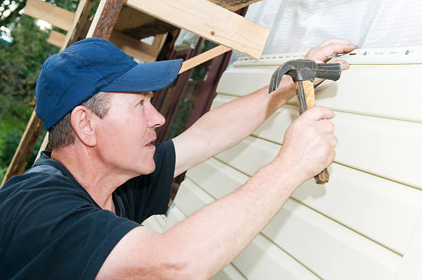 Best Siding Painting and Refinishing  in Shelton, NE