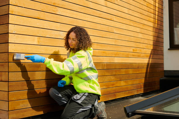Best Vinyl Siding Installation  in Shelton, NE